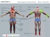 Jikishin Ju Jitsu Green Belt ~Anatomy Sheets Thumbnail